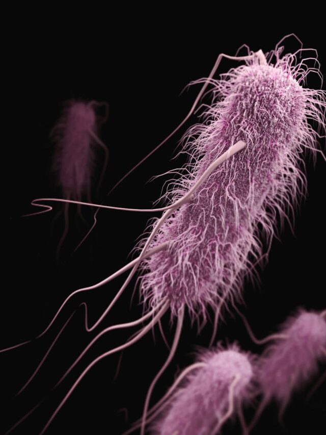 Fasting Reprograms Mood-Boosting Microbes